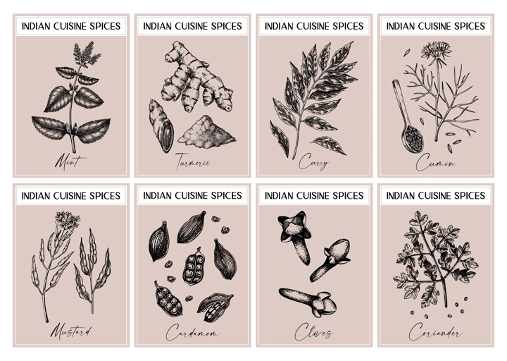 Indian spice labels set. Curry, cumin, mustard, turmeric, coriander, cloves sketches. Herbs and spices hand-drawn vectot illustration. Vintage print design. NOT AI generated